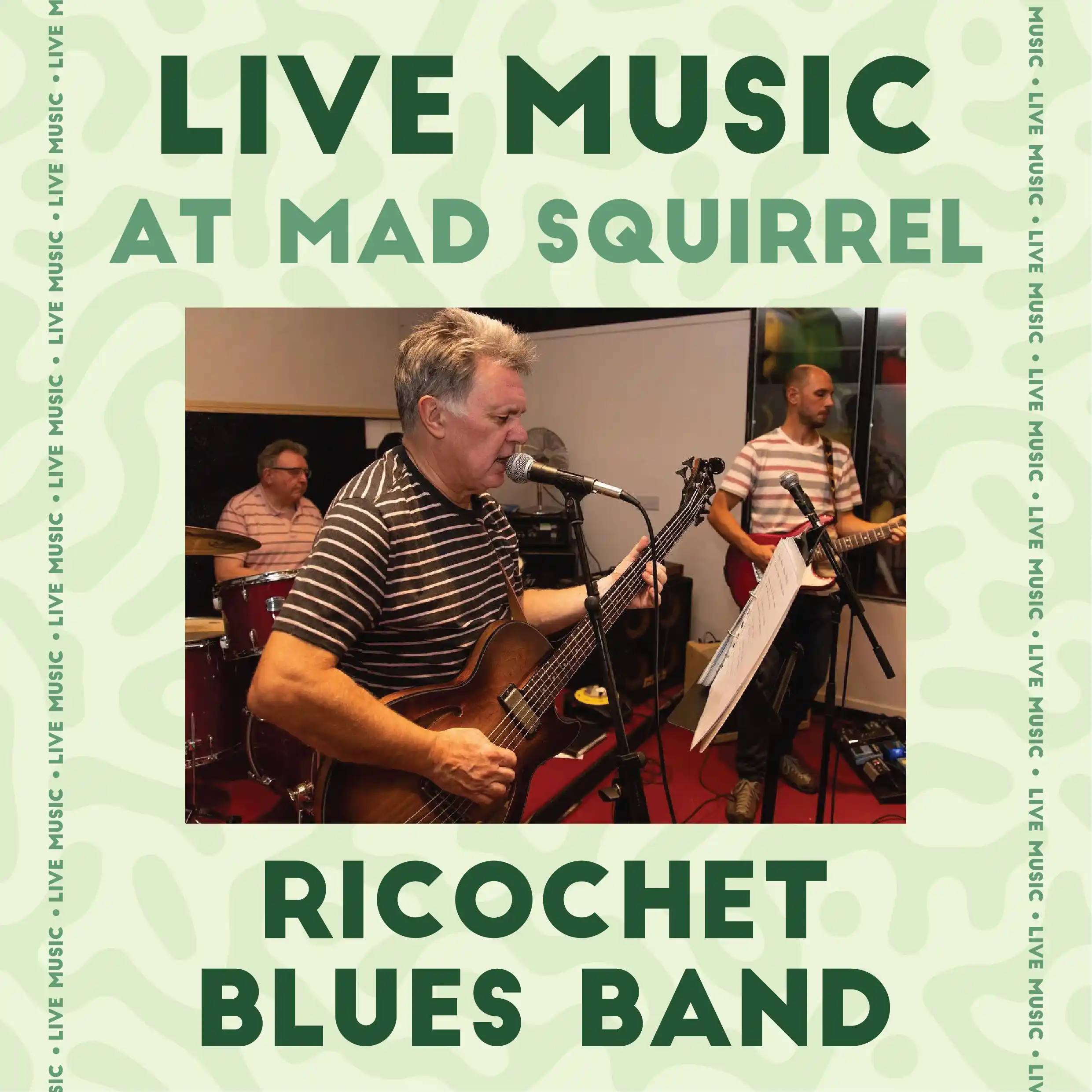Ricochet Blues Band - The Mad Squirrel Amersham