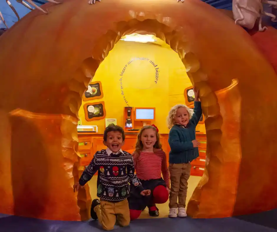 Roald Dahl Children's Gallery