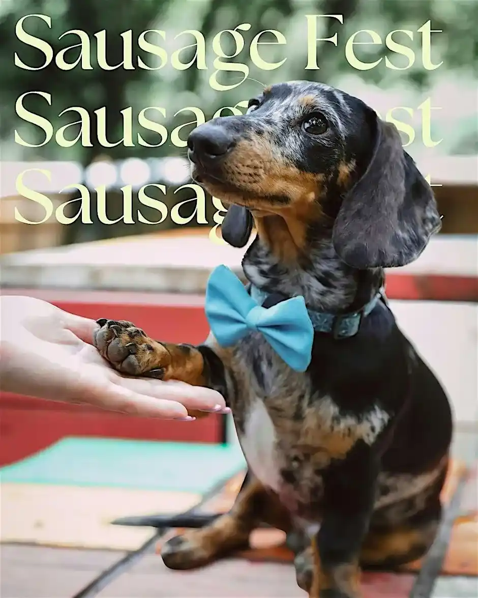 Sausage Fest!