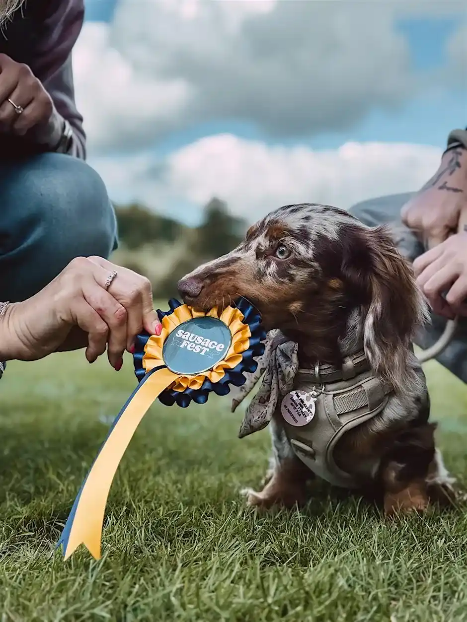 Sausage Fest - Christmas Edition!