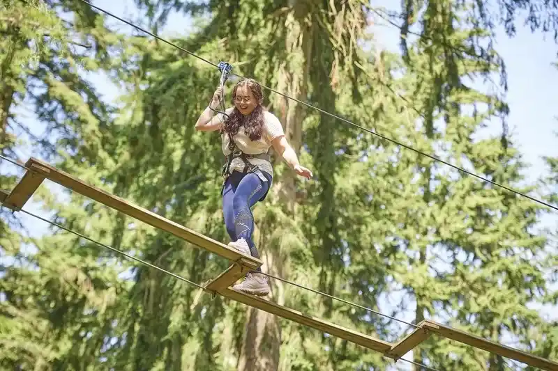 Summer At Go Ape Black Park