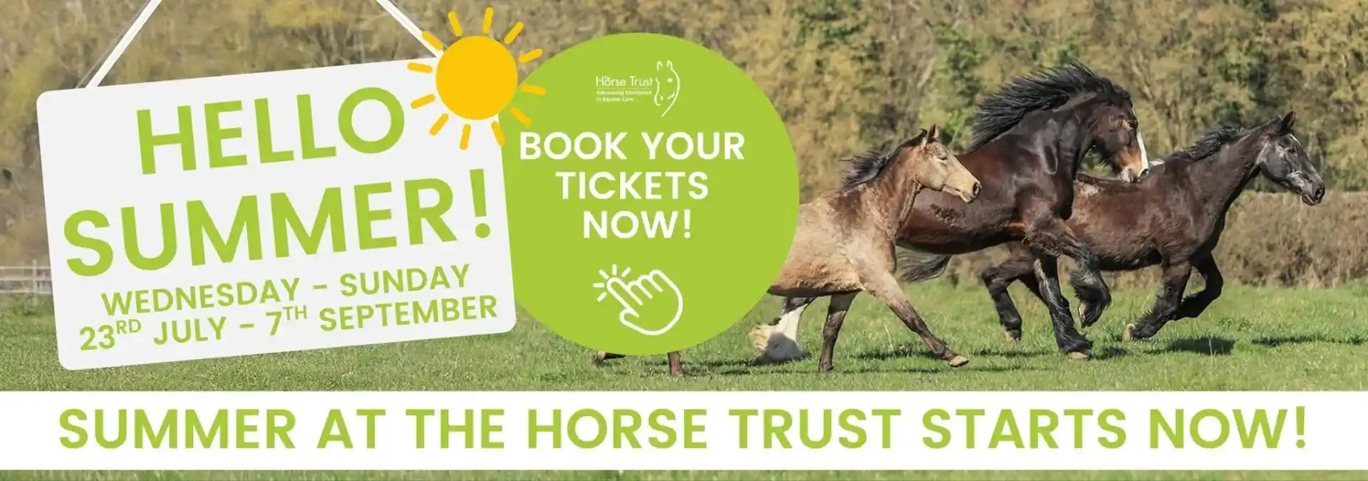 Summer At The Horse Trust