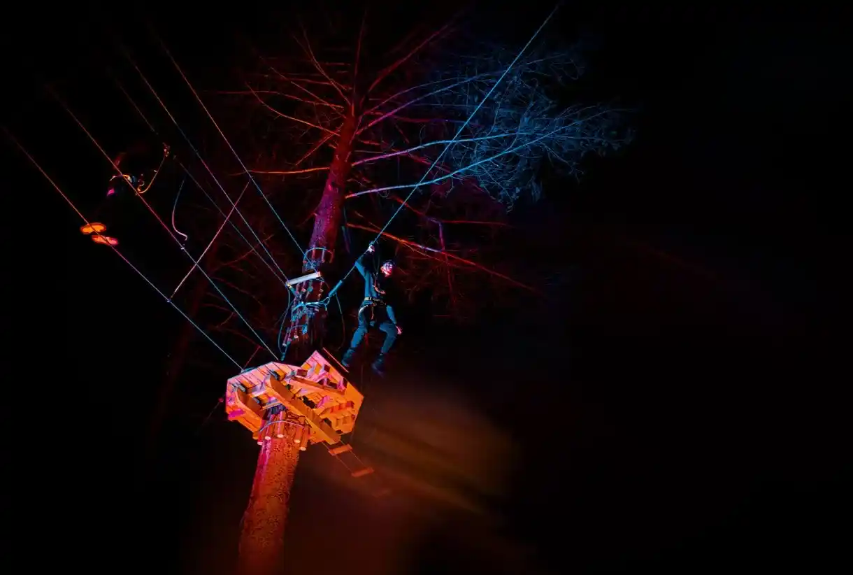 Sundown Adventures- Go Ape Black Park At Night