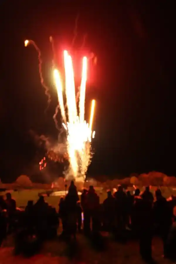 Thomley Reduced-Sound Fireworks