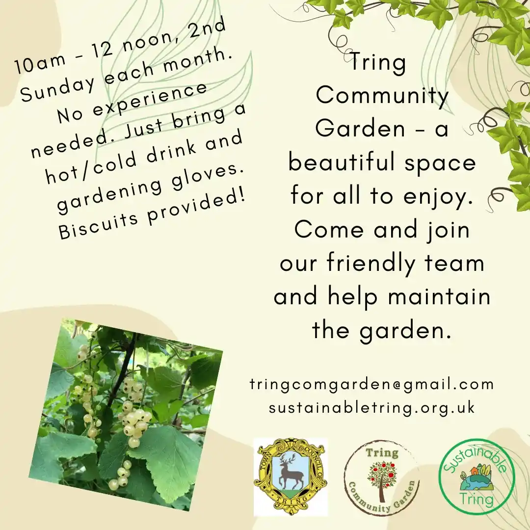 Tring Community Garden