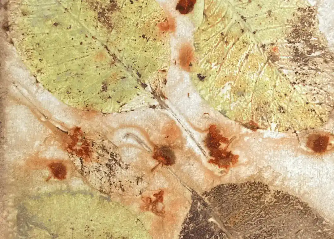 Two-day Workshop: Botanical Eco-printing On Paper