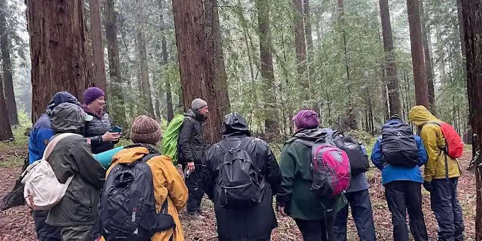 Wellbeing Walk In The Chilterns