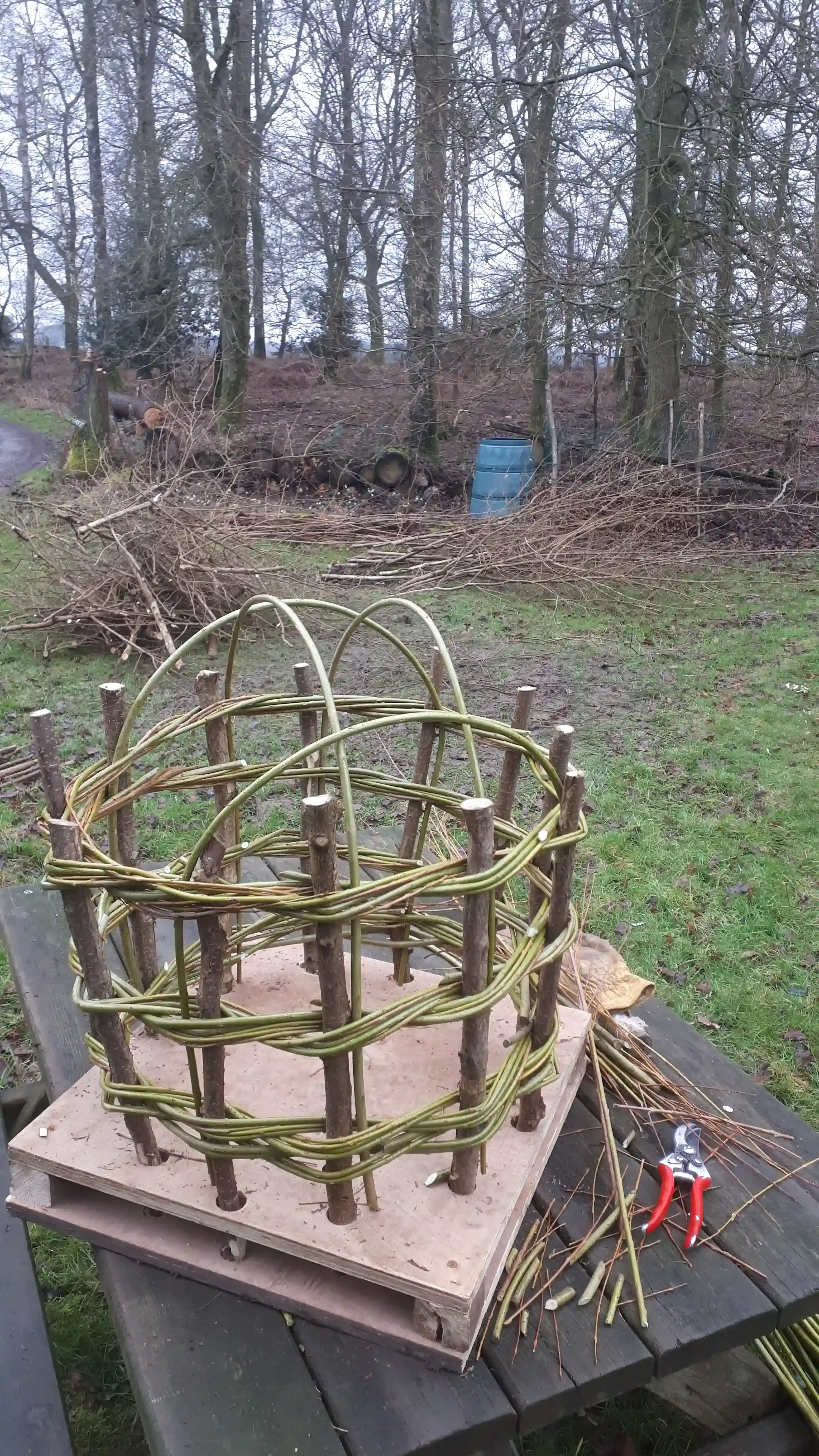 Willow Cloche Plant Support Weaving