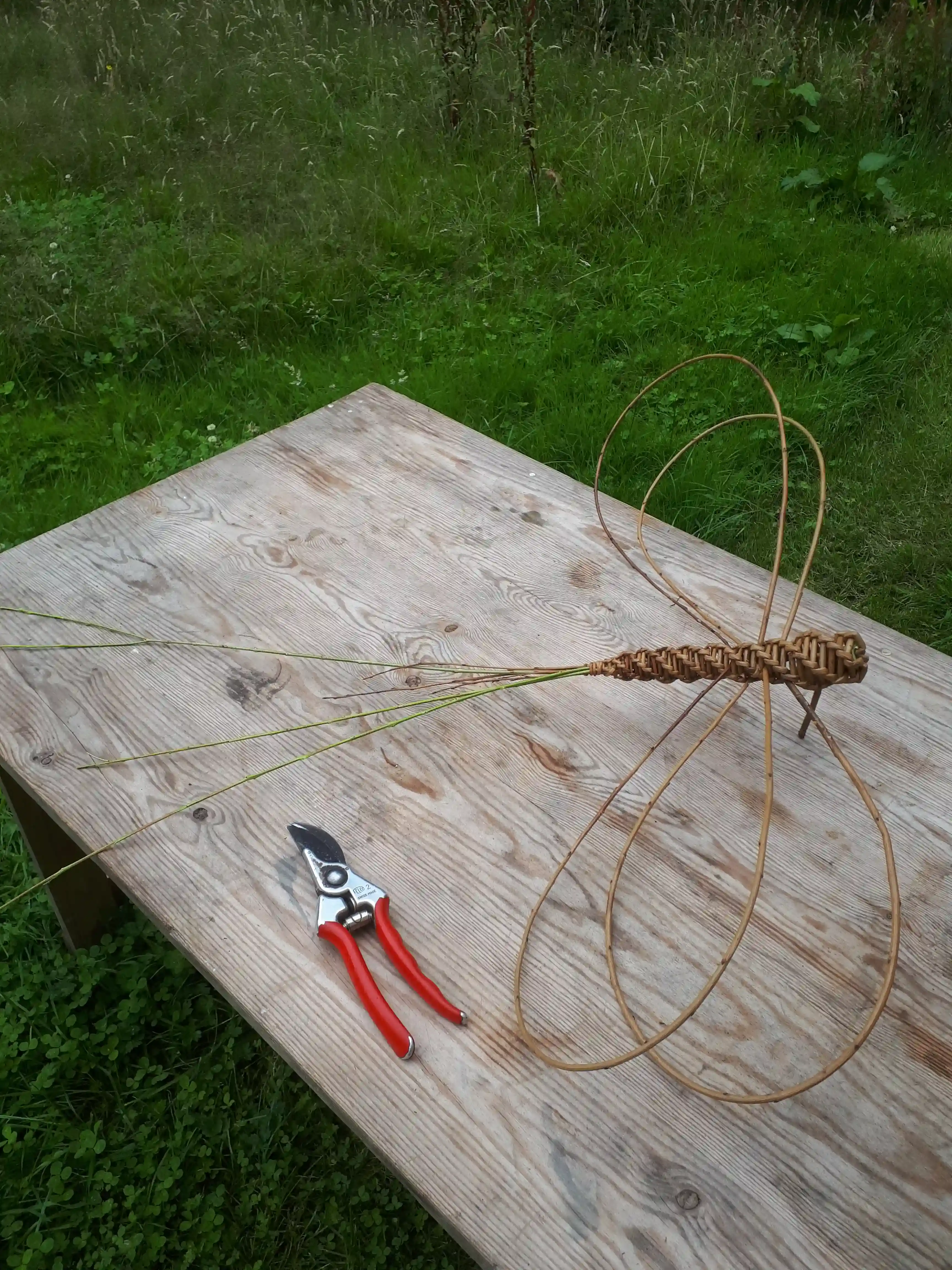Willow Dragonfly Weaving