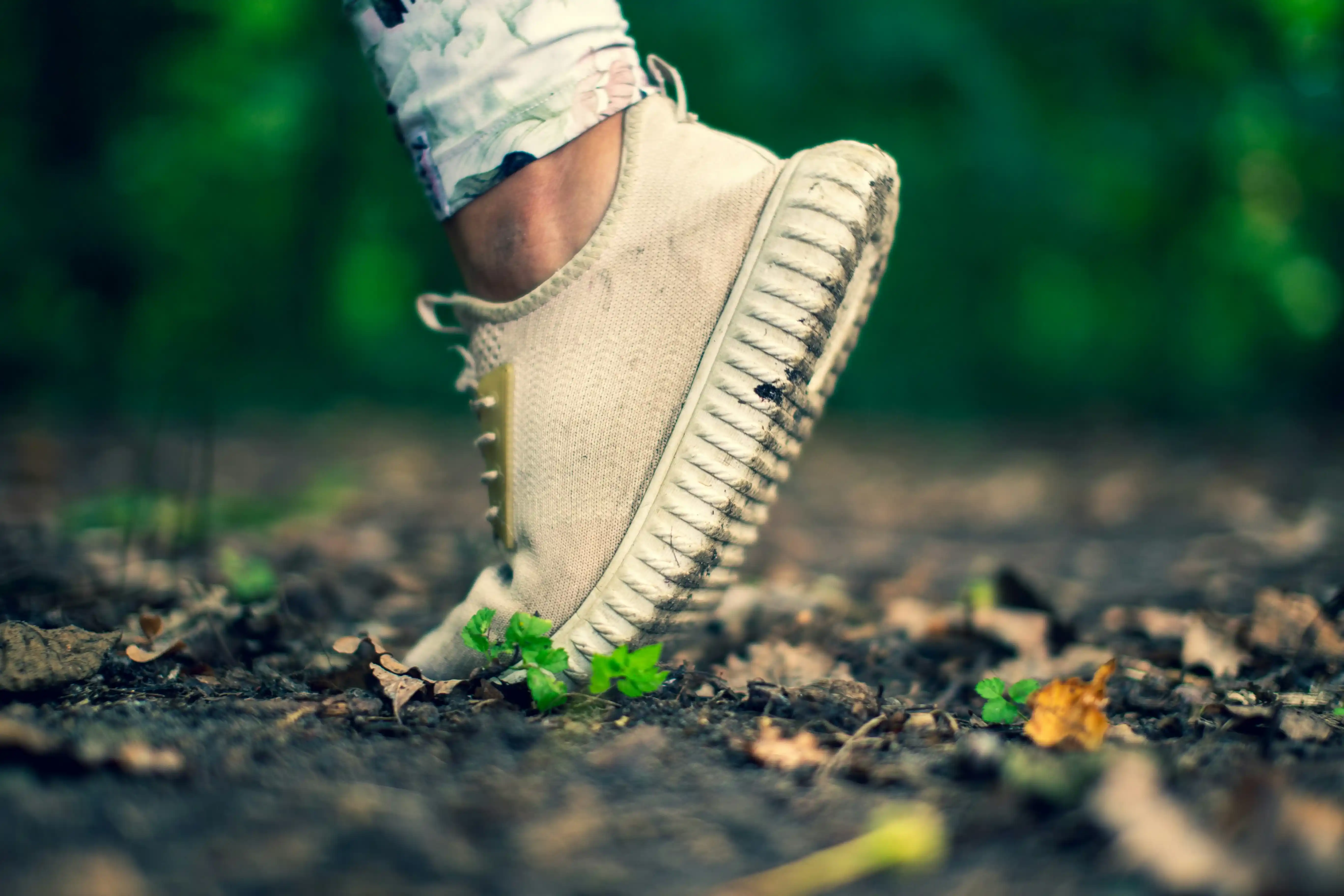 Walk
