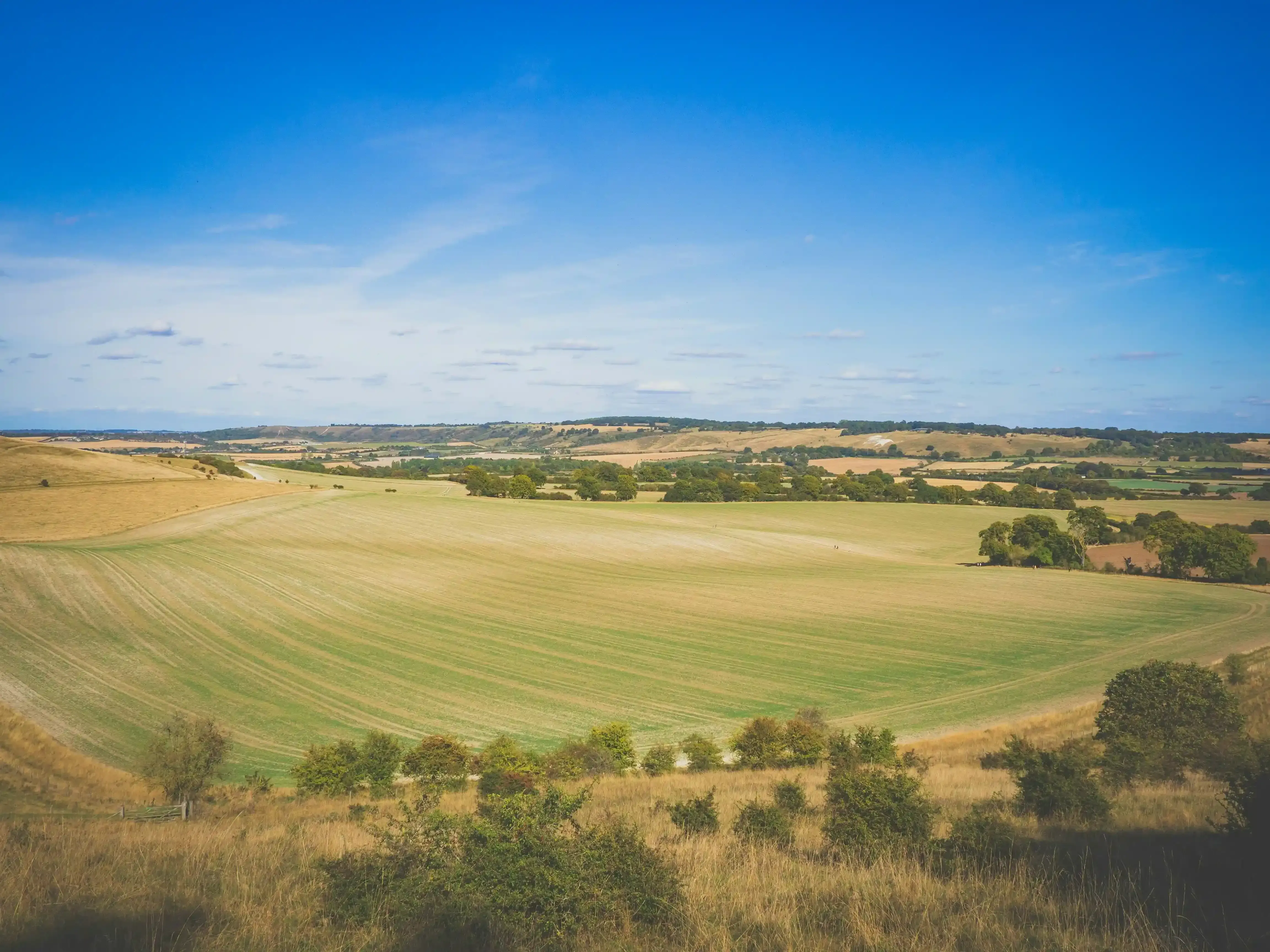 Ivinghoe Beacon