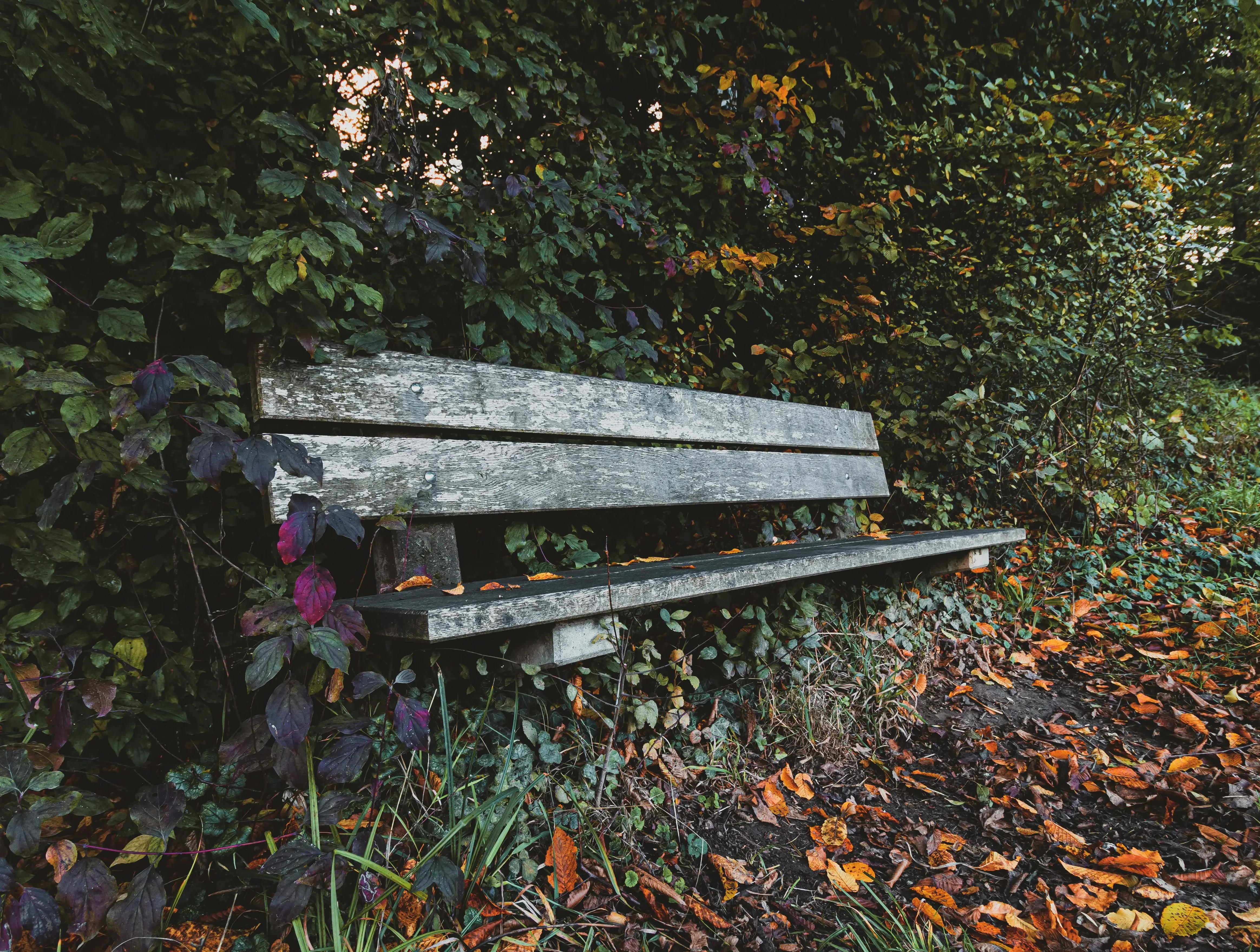 Uncover Secret Scenic Spots In Bucks